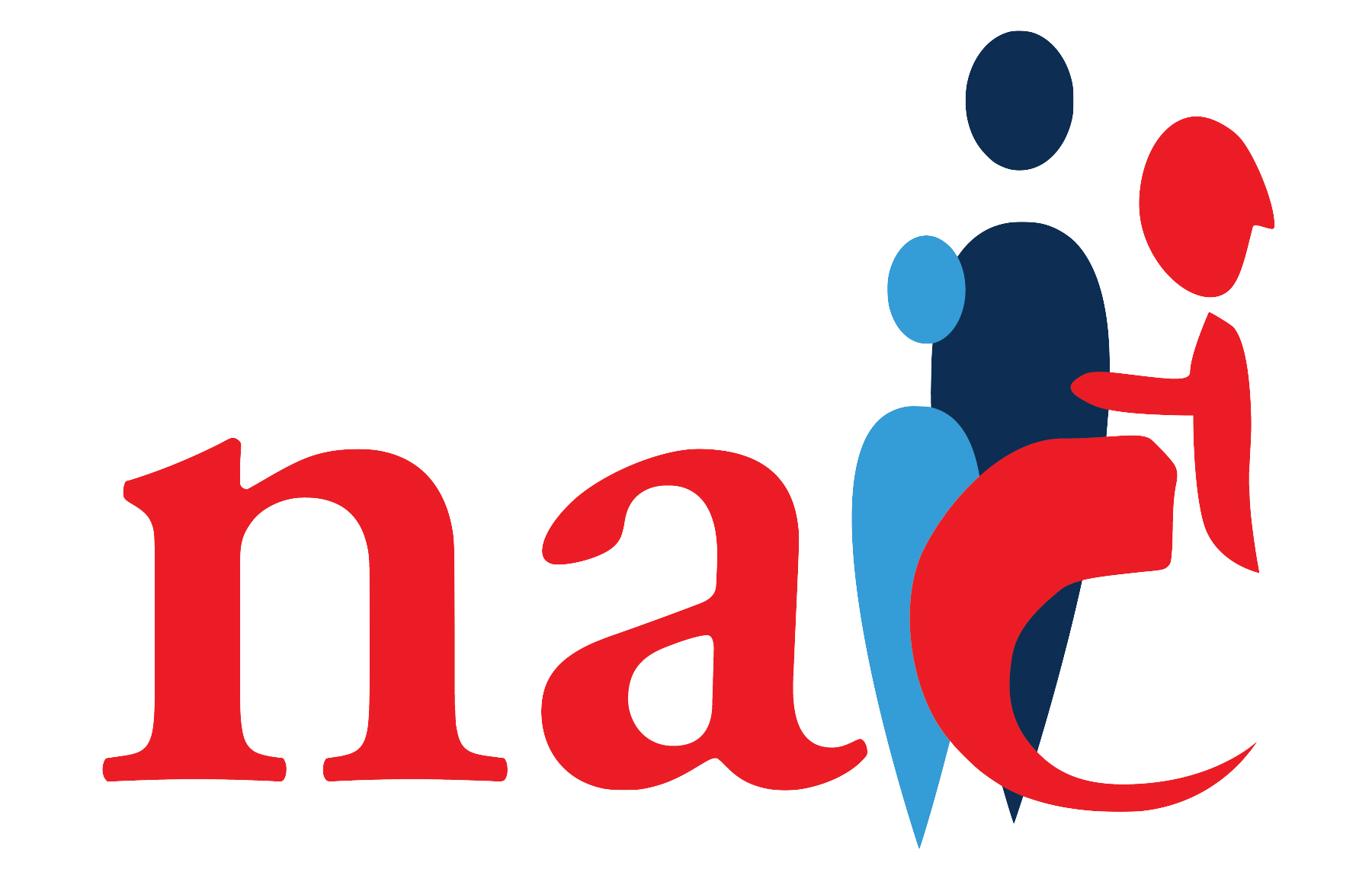 NAIC-Logo-Rectangle